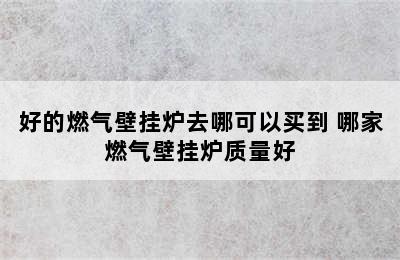 好的燃气壁挂炉去哪可以买到 哪家燃气壁挂炉质量好